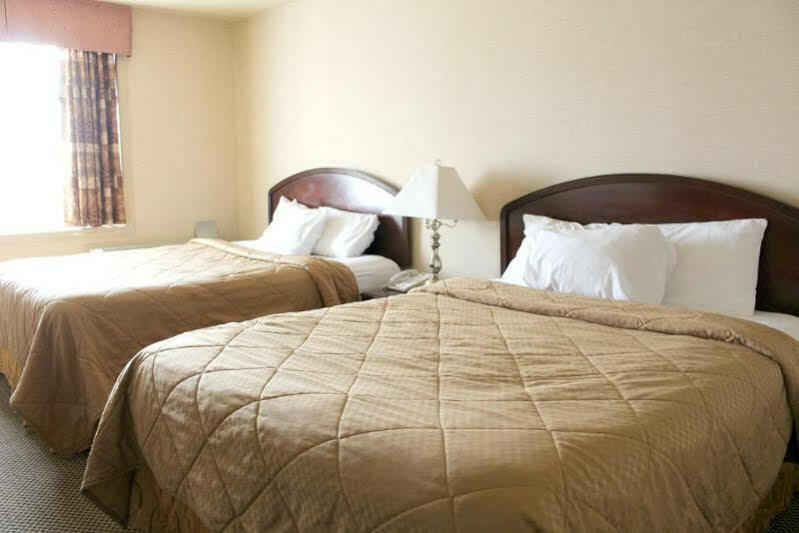 Econo Lodge City Centre Κίνγκστον Εξωτερικό φωτογραφία